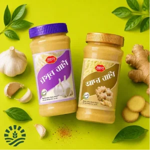 Ginger & Garlic Paste