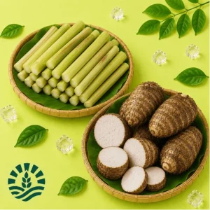 Kachur Lati & Kachur Mukhi