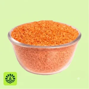 Masoor Dal & Pulses