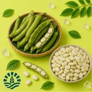 Sim Bichi (Bean Seeds)